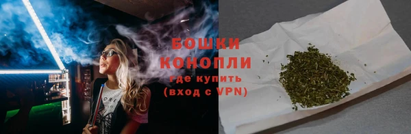 мдпв Богданович
