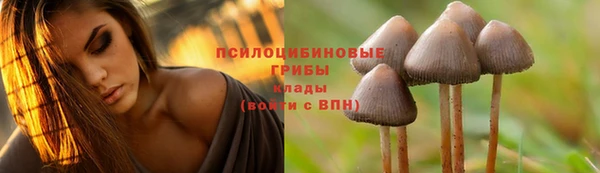 хмурый Богородицк