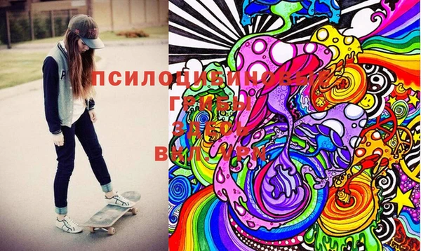 мдпв Богданович