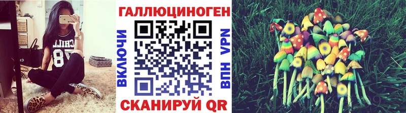 Купить  Кизел  Псилоцибиновые грибы мухоморы 